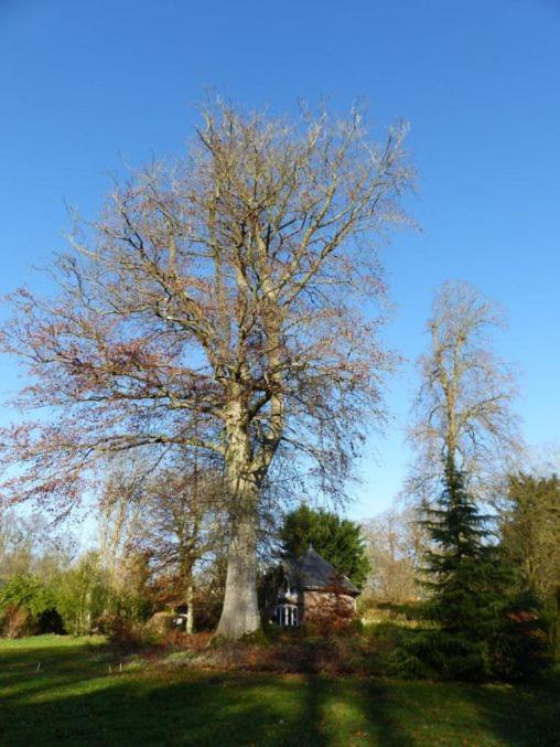 Chambre Le Notre Le Domaine Des Jardins De Bracquetuit Екстер'єр фото