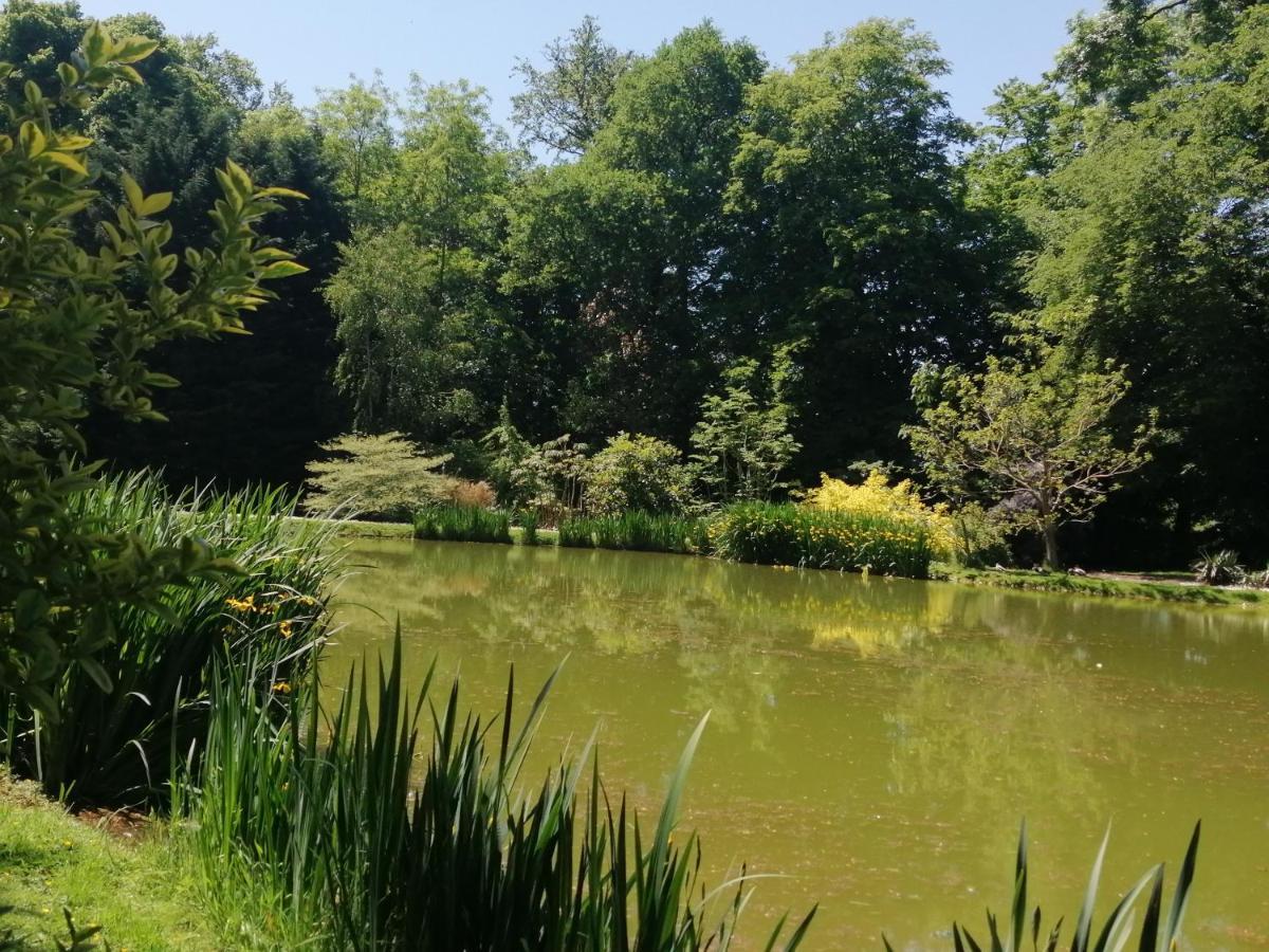 Chambre Le Notre Le Domaine Des Jardins De Bracquetuit Екстер'єр фото